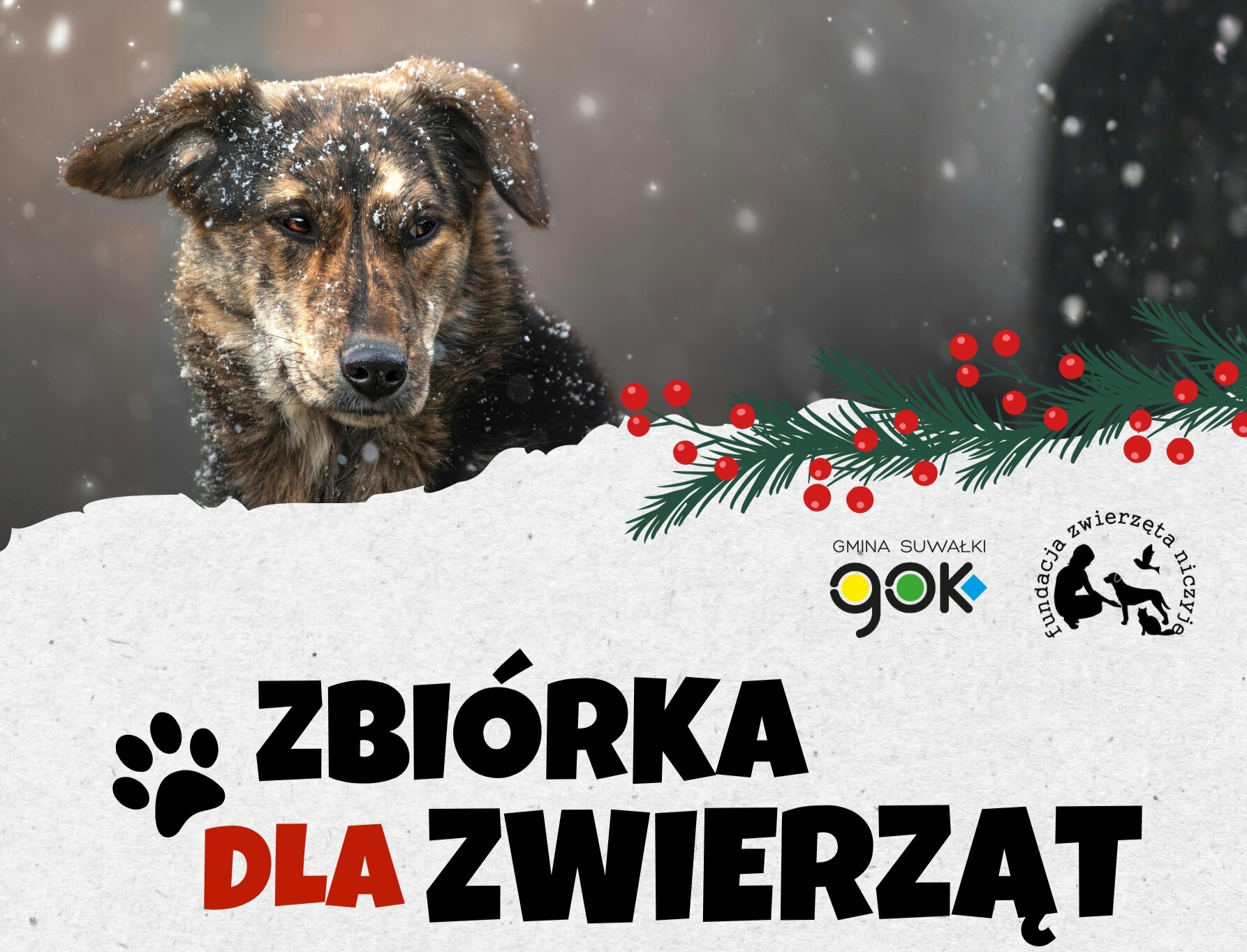Zachęcamy do przyłączenia się do zbiórki dla zwierząt